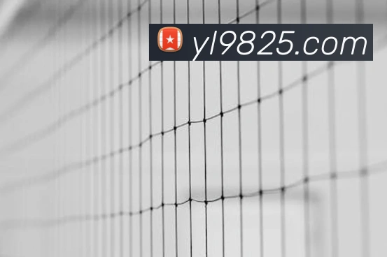 体育App